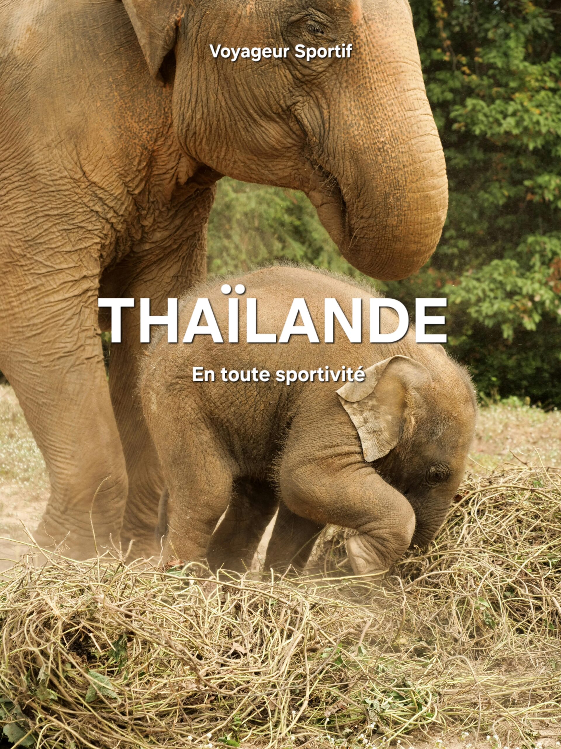 guide de voyage Thaïlande voyageur sportif