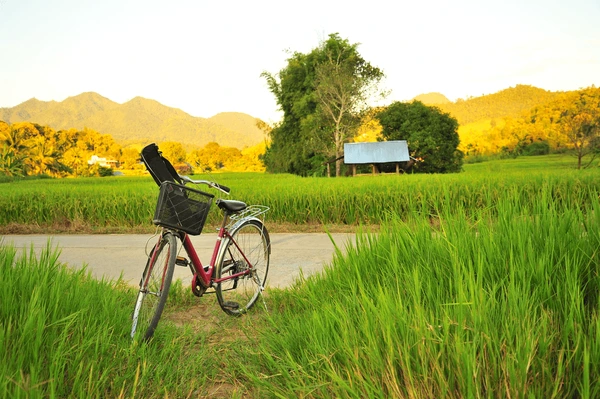 vélo à Bali Bali Activité Sportive